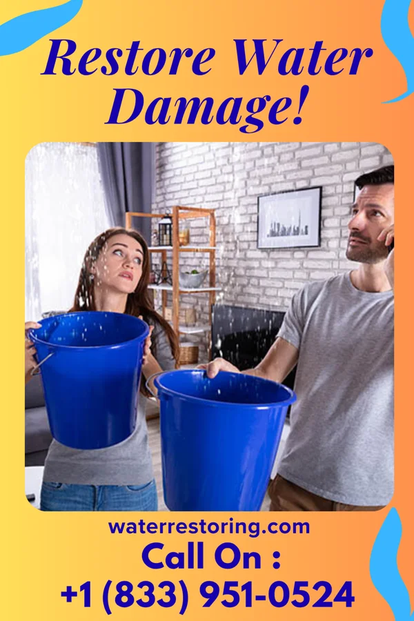 water restoration Horizon Water Solutions Inc Avilla