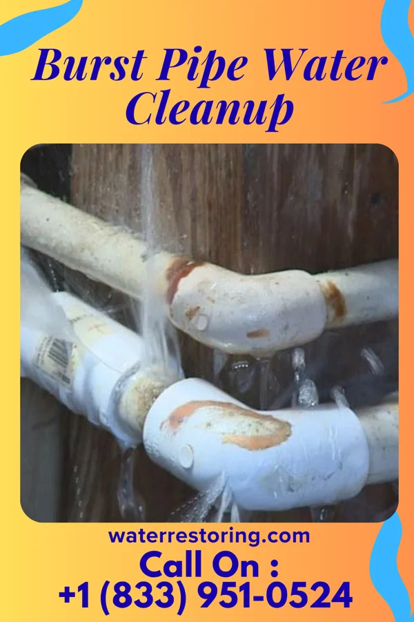 Burst Pipe Water Cleanup in Avilla, IN