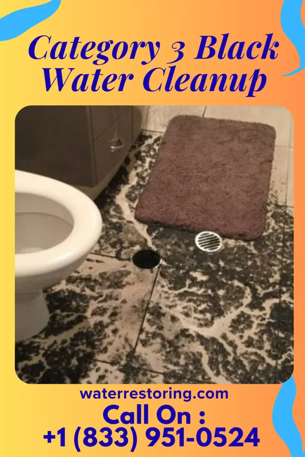 Category 3 Black Water Cleanup in Avilla, IN