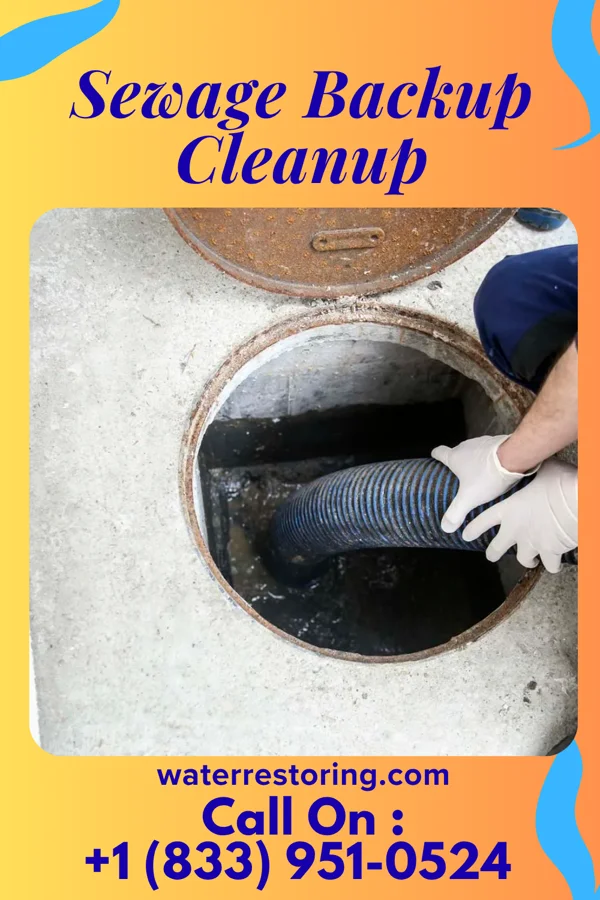 Sewage Backup Cleanup in Avilla, IN